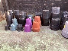 Garten Anzuchtset verschiedene