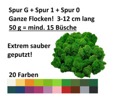 Muwse ohne Dreck ca 15 Büsche