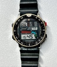 CITIZEN D060 GOLD WINDSURFING