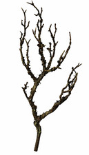 Deko Zweig 30 cm künstlich