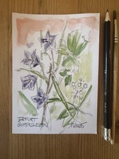 Erfurt, Gispersleben, Glockenblume, DIN-A6, Unikat, signiert @erfurter.skizzen