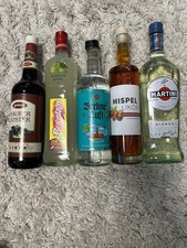 Alkohol / Liköre Set