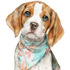 2x Sticker Beagle Car Sticker