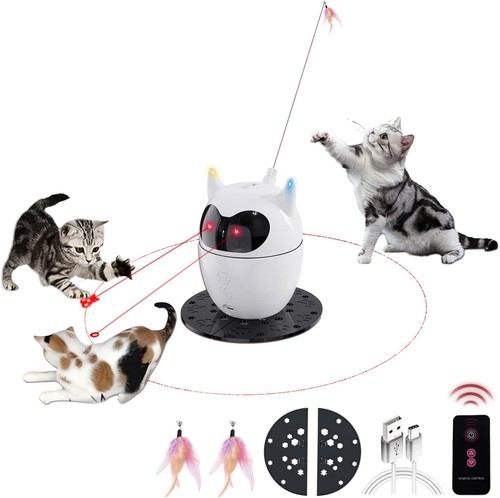 Katzenangel 360°