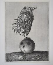 A. Paul Weber Grafik - Vogel