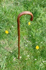 Gehstock Wanderstock für