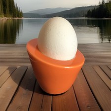 ASA Selection Eierbecher Pollo
