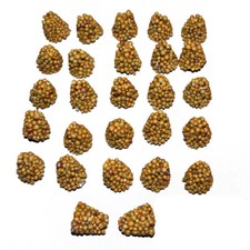 Langzeit-Düngekegel 5-6