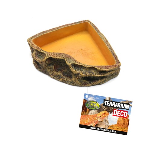 Reptile nova - reptile,