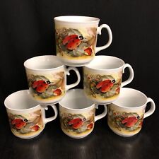 6 Stück Käfer Porzellan Kaffeebecher 350ml Kaffee Becher groß Tasse Tassen