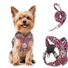 Hundegeschirr mit Leine Set