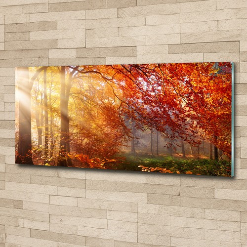 Glas bild wandbilder druck - druck, auf