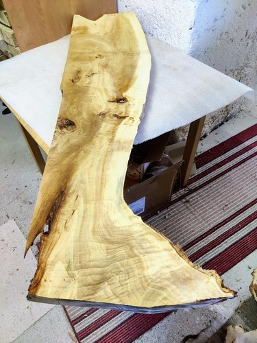 Pappel maser bohle - , 45