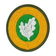 Bundeswehr Sonderabzeichen EGB