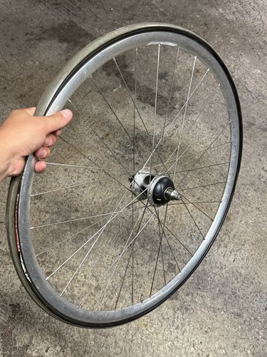 Hinterrad powertap track - track, wheel