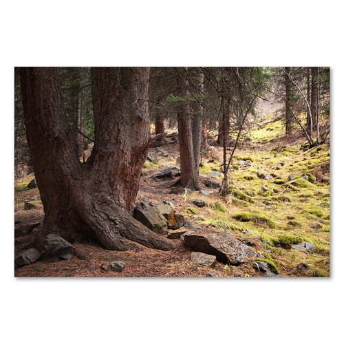 Postereck 1239 poster - poster, leinwand