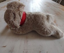 Steiff - Hase - Floppy Hansi - Knopf im Ohr - mit KFS - Plüschtier - 5705/20