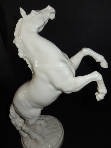 Aufsteigendes pferd - aufsteigendes,