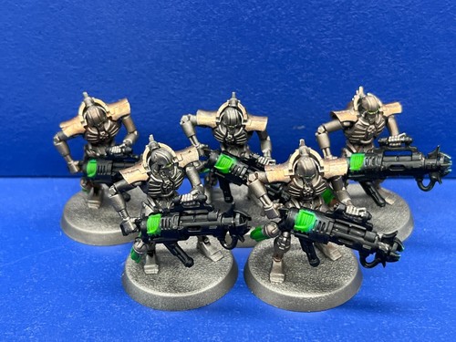 Immortals der necrons 1 - der,