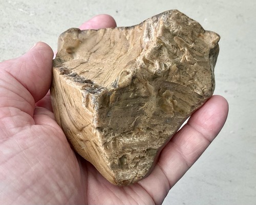190 80g bernstein - 190,80g,