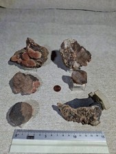 Baryt Calcit Chalkopyrit Sammlung Konvolut Steinbruch Calcit Holzen Sauerland