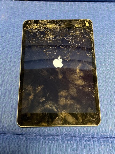 Apple ipad mini 128gb model - ipad,