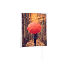 Könighaus "Goldener