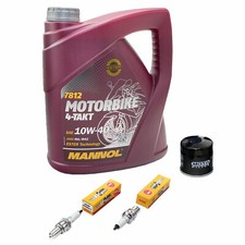 Öl 4L Inspektionspaket für