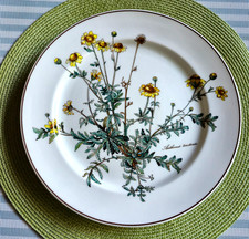 V&B BOTANICA  Speiseteller