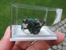 TOP -  Dioptas aus der Kalukuluku Mine, Lubumbashi, Katanga, DR Kongo