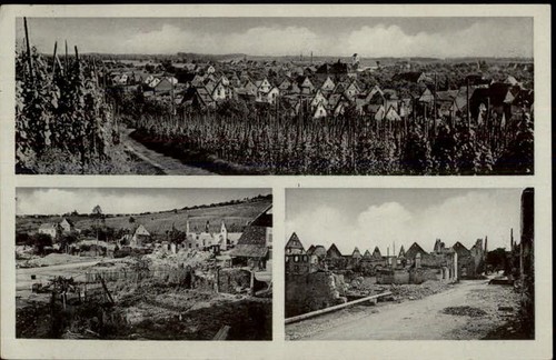 50466716 weinlese - 50466716,