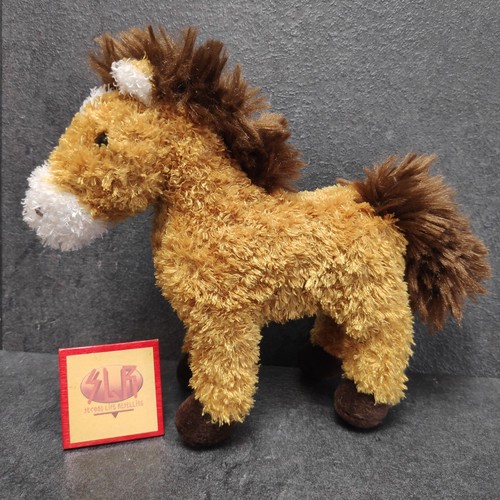 Pony happy people pferd - happy,