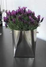 Lambert, Edelstahl Blumentopf,oder Weinkühler mit kleinen Griffen.