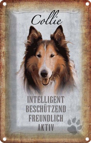 Blechschild 30x20 collie - cm,
