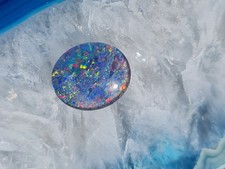 Schöne große Australische