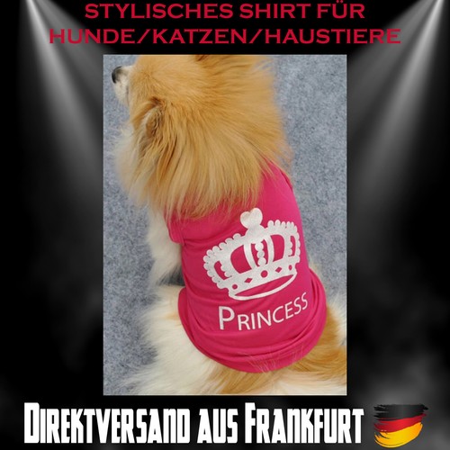 Hund dog welpe - dog, katze