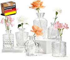 Mini Glasvasen Set für Blumen