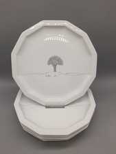 Rosenthal Polygon Winterreise