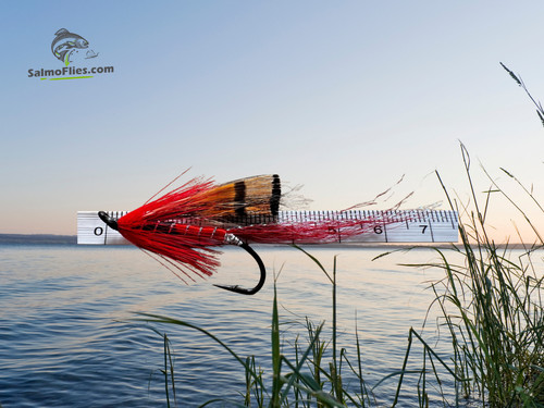 3er set neu - set:, lachsfliegen