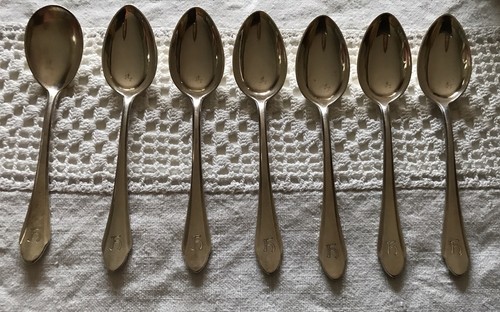Bsf platura 100 silber - platura,