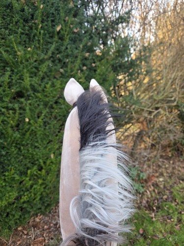 Hobbyhorsing steckenpferd sehr - hobbyhorsing,