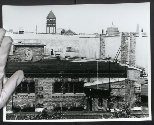 Fotografie berlin blick über - fotografie, berlin,