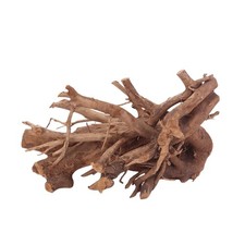 Aquarium Wurzel Deko L Mangrovenwurzel Aquascaping Echtholz Nr.2860