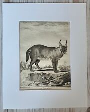 1767 Lithographie Kunstdruck