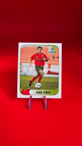 Joao pinto - pinto,