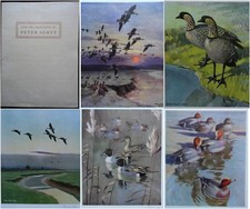 PETER SCOTT; Fünf Ölgemälde