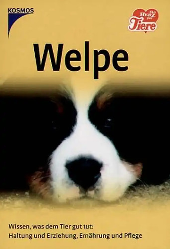 Welpen wissen was dem - wissen,,