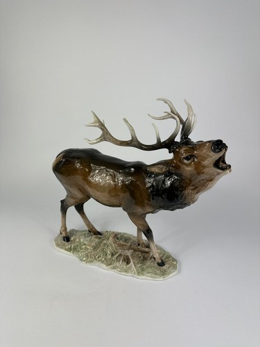 Großer röhrender hirsch - röhrender,