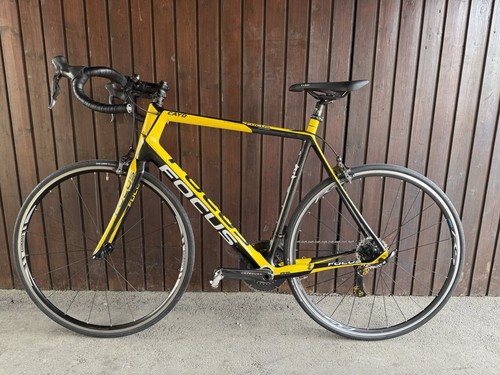 Focus cayo evo carbon - focus, 1.0