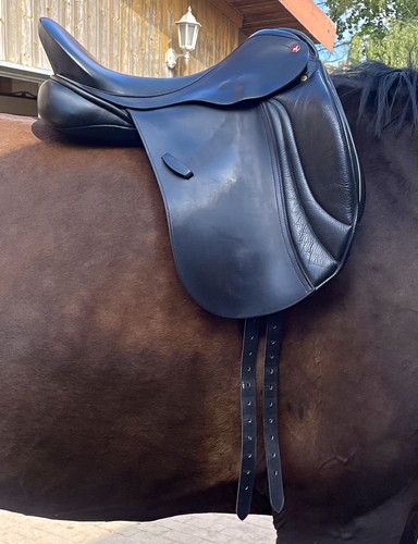 Albion dressage - k2,